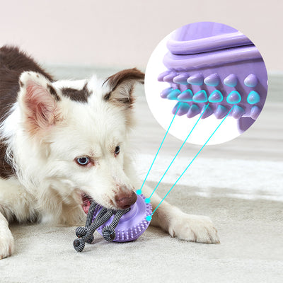PAKEWAY Purple Jellyfish Play & Food Feeder for Big Dogs