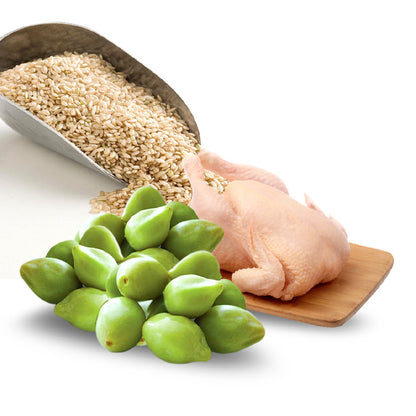 [SAMPLE] TALENTAIL Chicken with Brown Rice Kibble Dog Food for Adult Dogs 70g