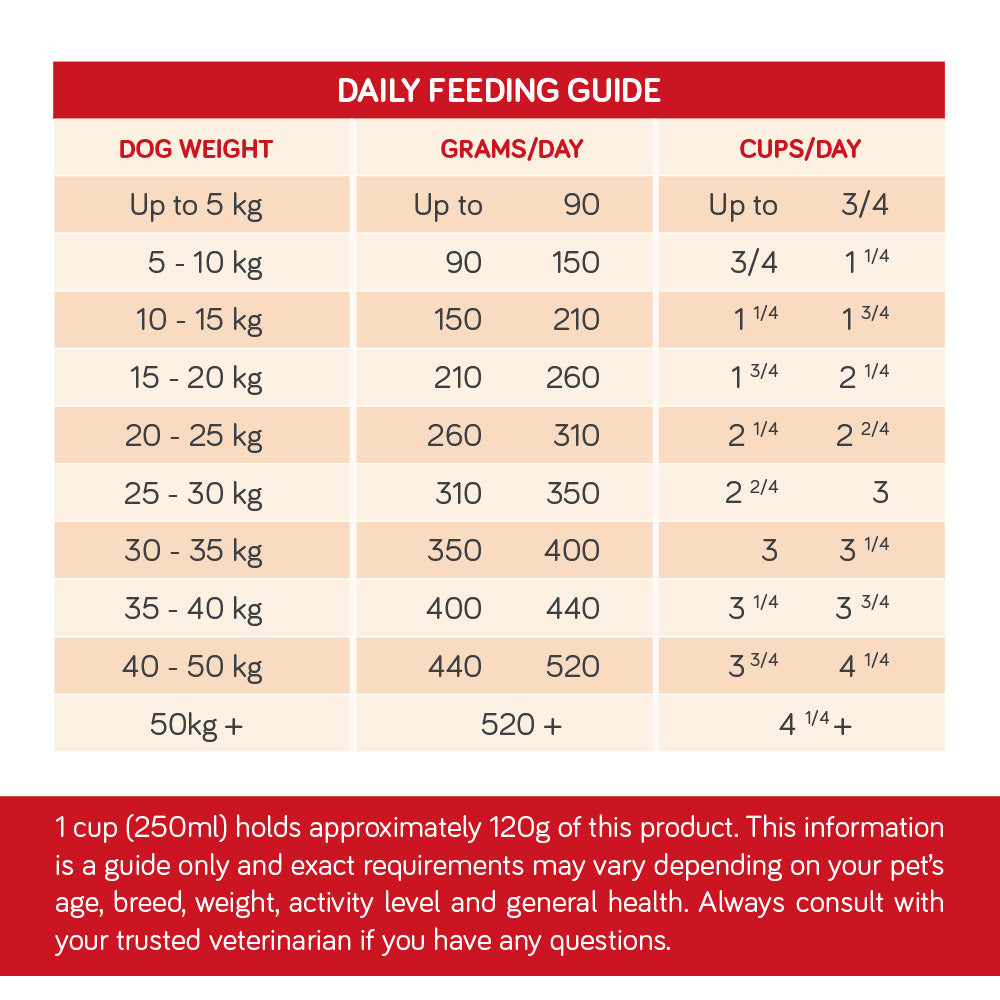 [SAMPLE] TALENTAIL Lamb with Brown Rice Kibble Dog Food For Adult Dogs 70g