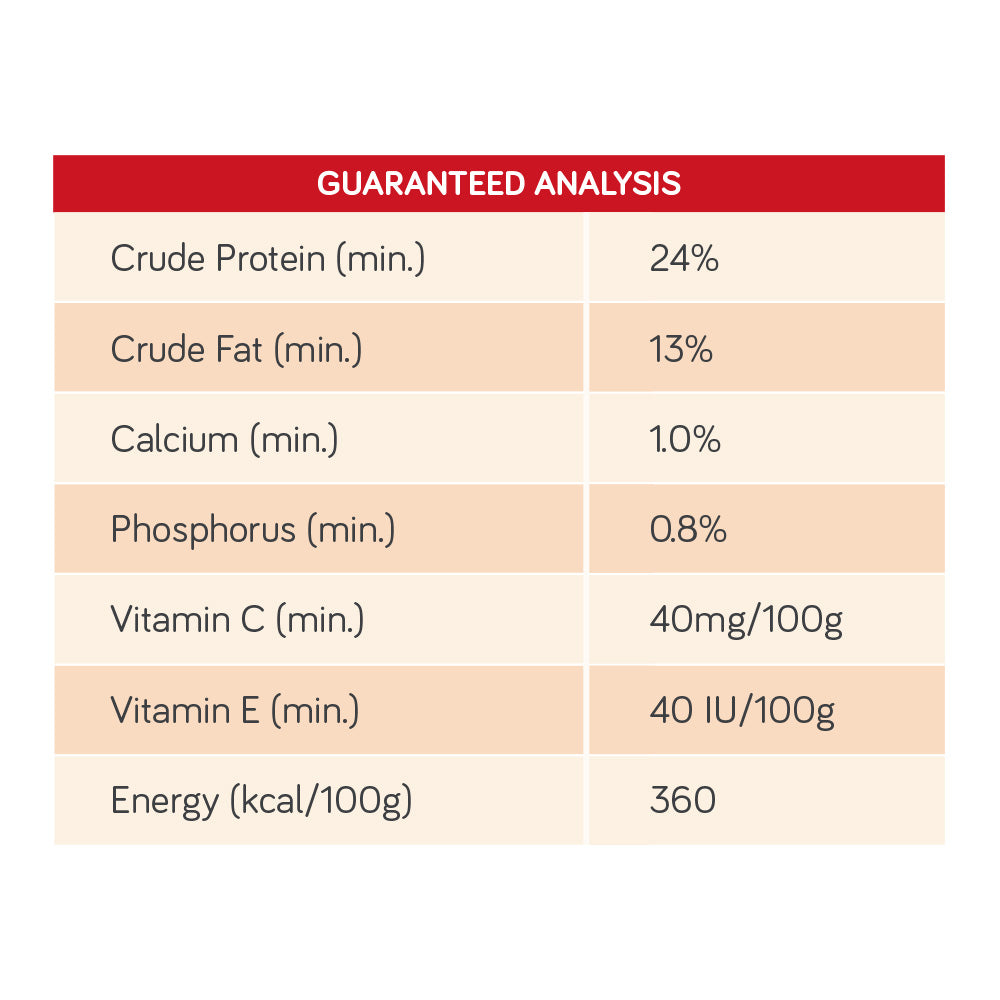 [SAMPLE] TALENTAIL Lamb with Brown Rice Kibble Dog Food For Adult Dogs 70g
