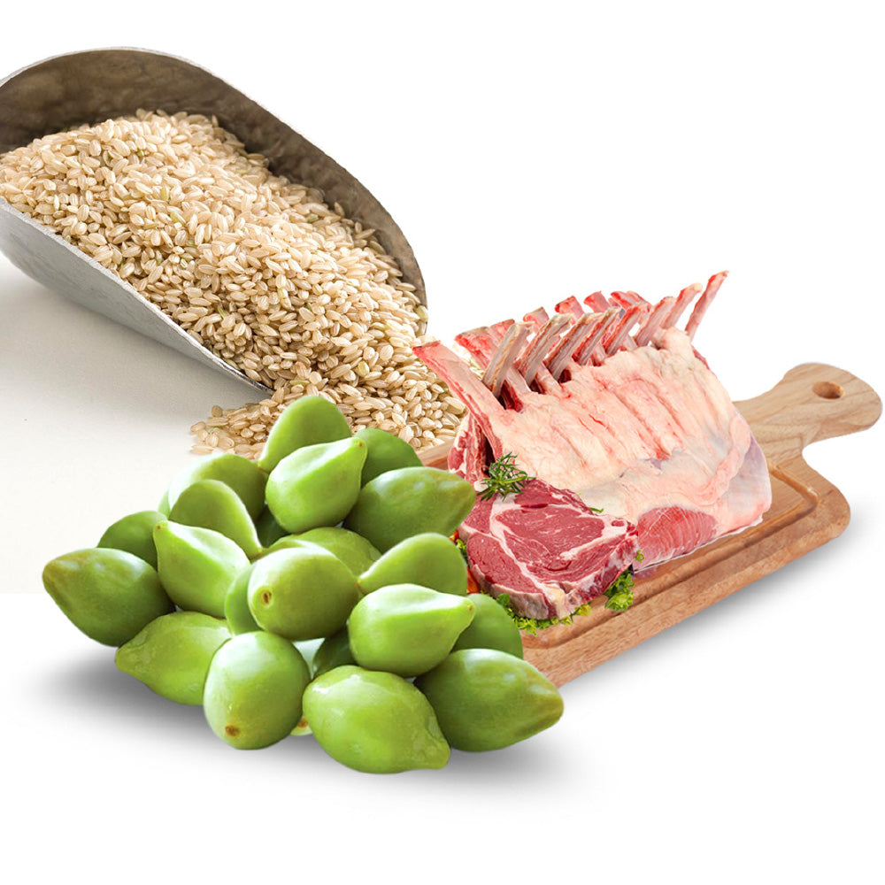 [SAMPLE] TALENTAIL Lamb with Brown Rice Kibble Dog Food For Adult Dogs 70g