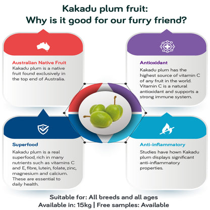 [SAMPLE] TALENTAIL Lamb with Brown Rice Kibble Dog Food For Adult Dogs 70g