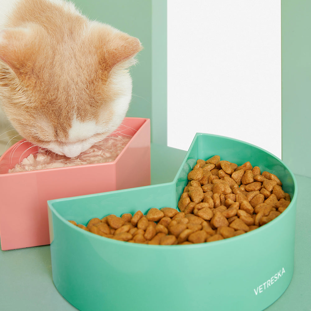 VETRESKA Watermelon Fruity Pet Dual Bowl