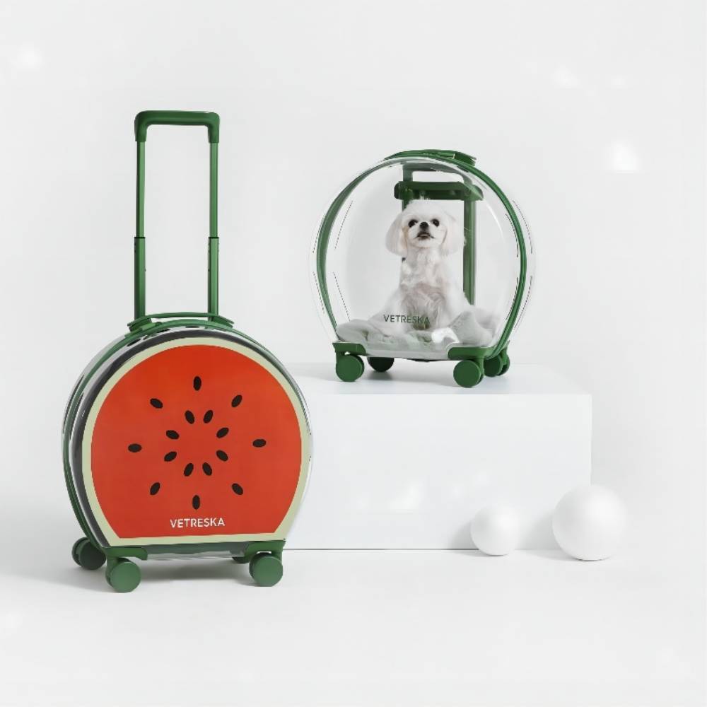 VETRESKA Semi-Transparent Watermelon Pet Luggage COLOR BLOCK