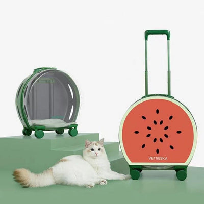 VETRESKA Semi-Transparent Watermelon Pet Luggage COLOR BLOCK