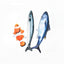 ZODIAC Mackerel Fish Catnip Cat Interactive Toy