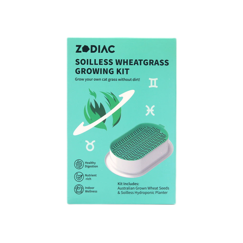 ZODIAC Soilless Wheatgrass Growing Kit - Green
