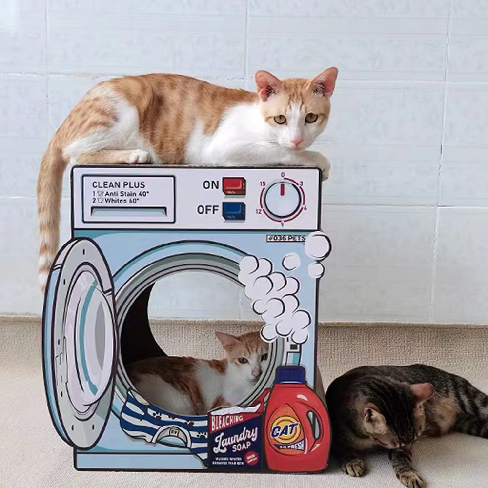 Cat shop washing clothes