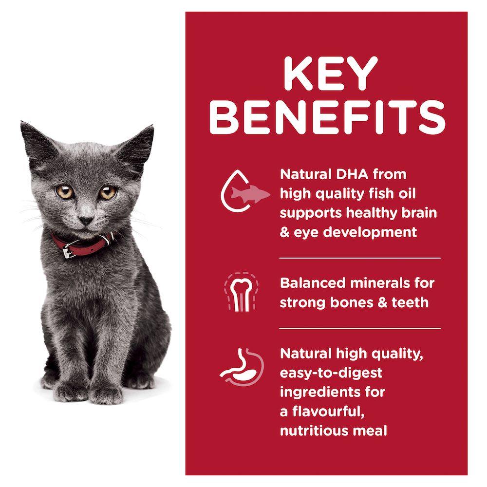 HILLS Science Diet Feline Kitten Indoor Cat Food 1.58kg