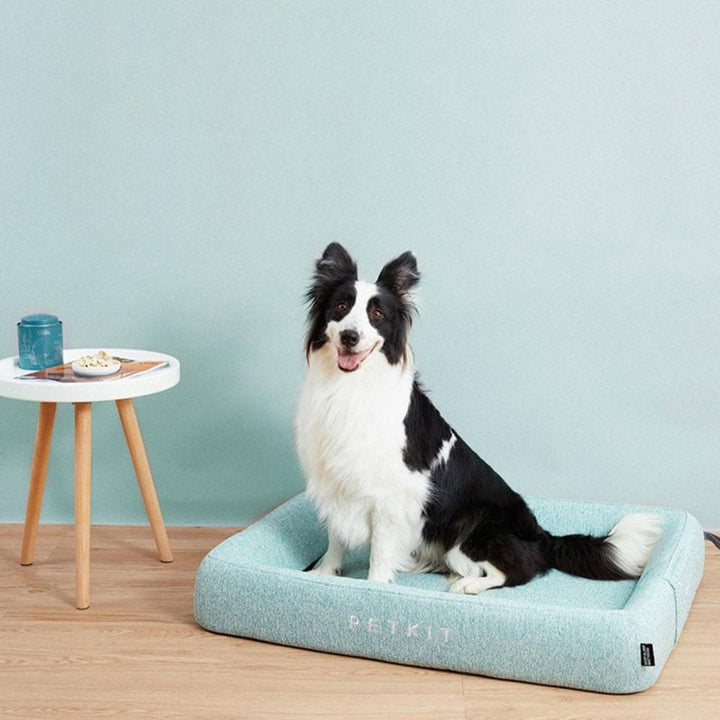 Best Dog Beds Up to 50% Off | Deep Sleep Pet Beds for All Dogs – Petso