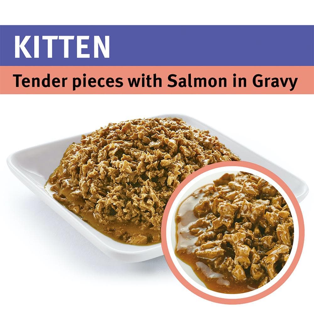 PRO PLAN Salmon in Gravy Kitten Cat Food 12x85g
