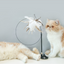 CATIO Bouncy Wire Feather Teaser Cat Toy with Powerful Suction Cup