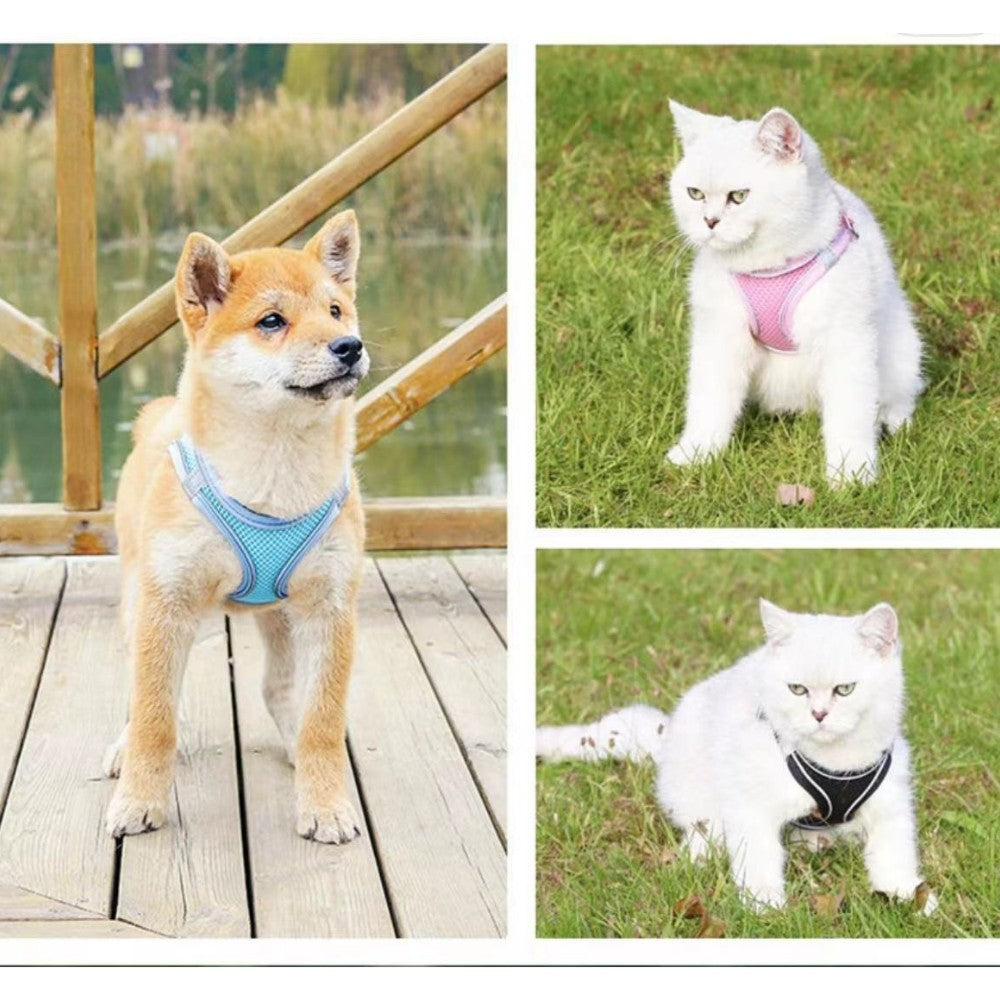 KARA PET Dust Grey & Vivid Blue Pet Harness (small)