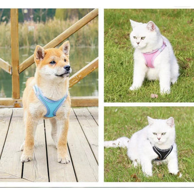 KARA PET Pet Dust Grey & Vivid Blue Pet Harness (extra small)