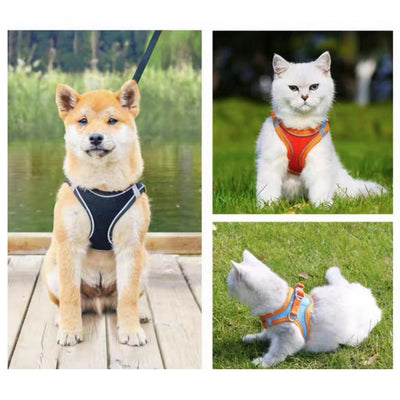 KARA PET Bright Orange Pet Harness (small)