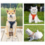 KARA PET Bright Orange Pet Harness (medium)