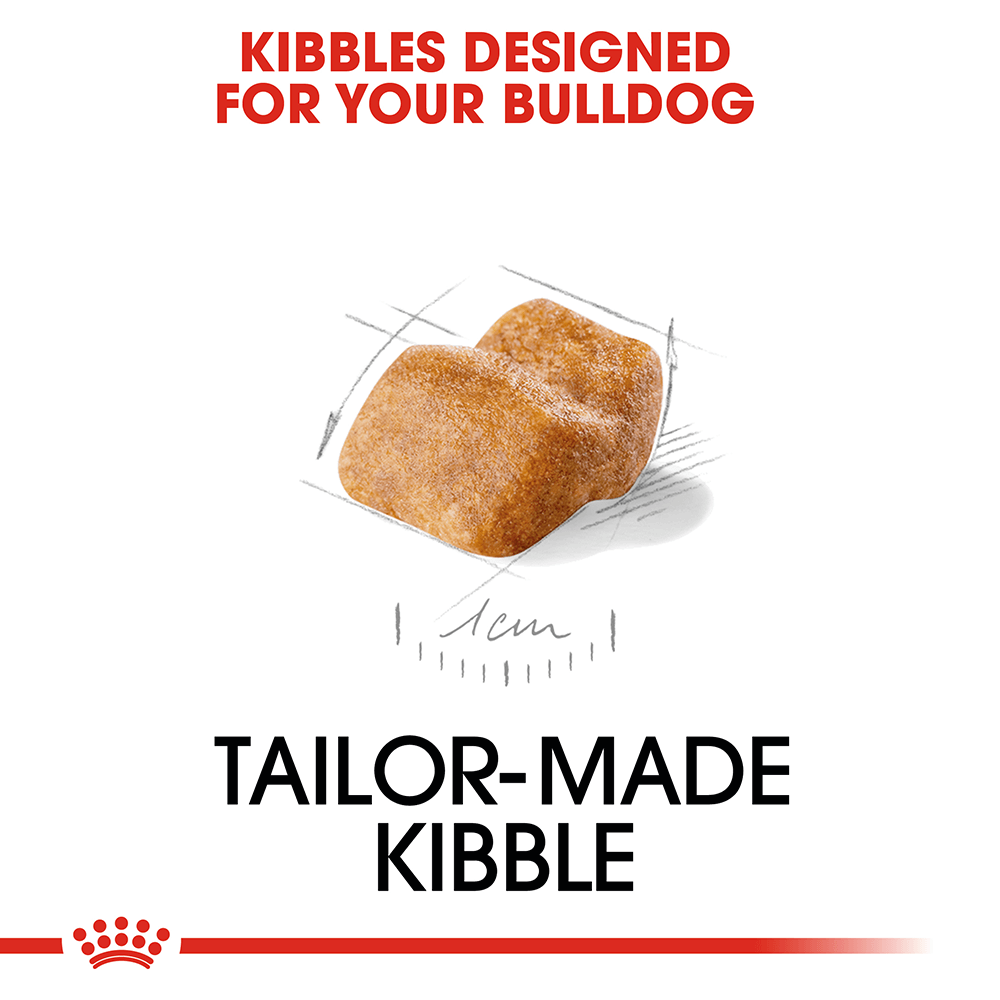 Royal canin bulldog puppy dry 2024 dog food