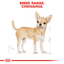 ROYAL CANIN Chihuahua Adult Wet Dog Food 85g x 12