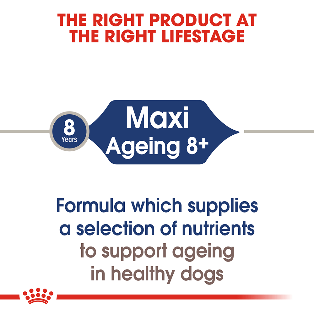 ROYAL CANIN Maxi Ageing 8+ Wet Dog Food 140g x 10
