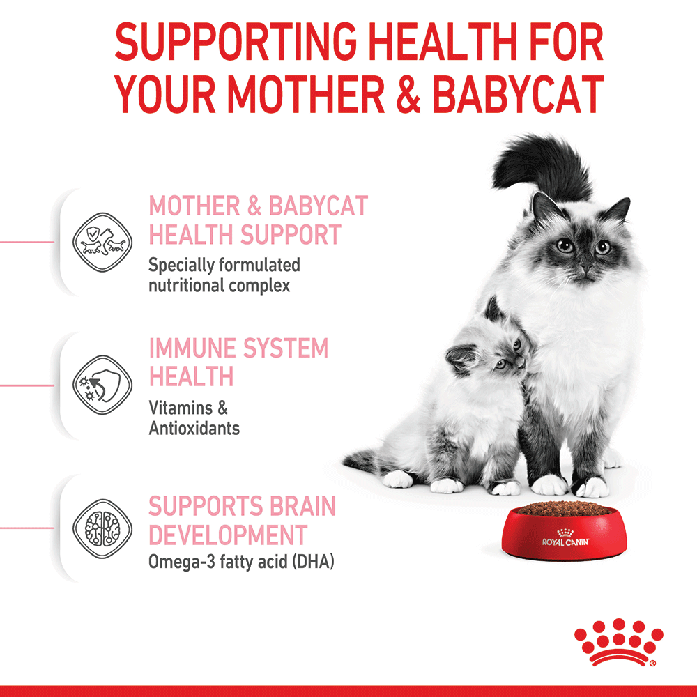 ROYAL CANIN Mother & Babycat Cat Food 10kg