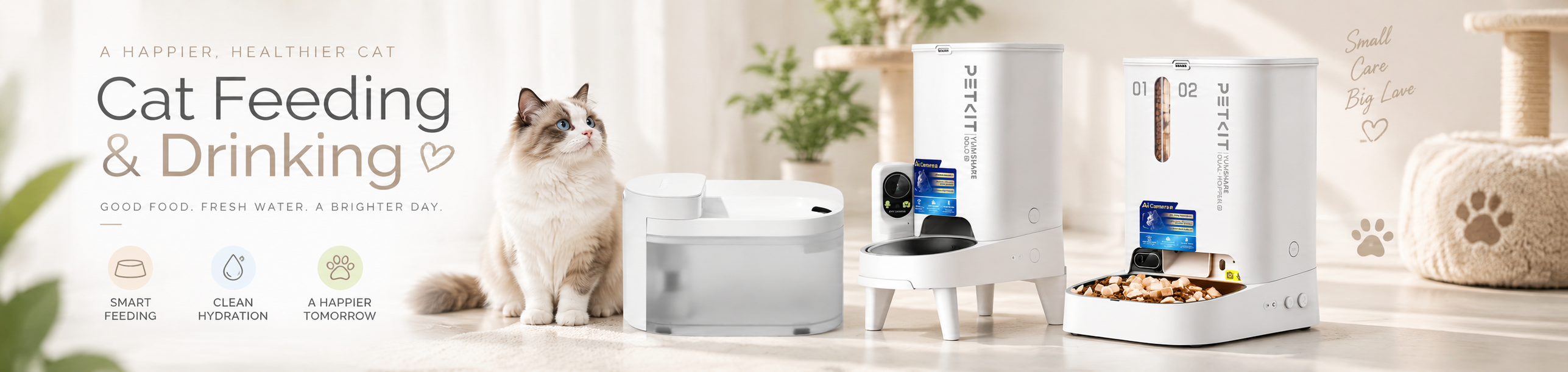 Cat Feeding and Drinking: Automatic Cat Feeders